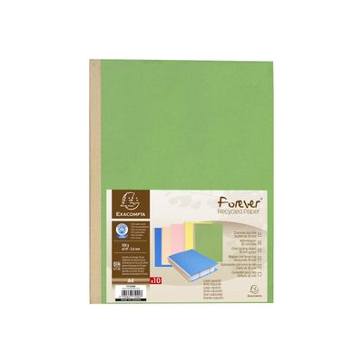 Exacompta Forever - 10 Chemises à soufflet - 320 gr - couleurs assorties