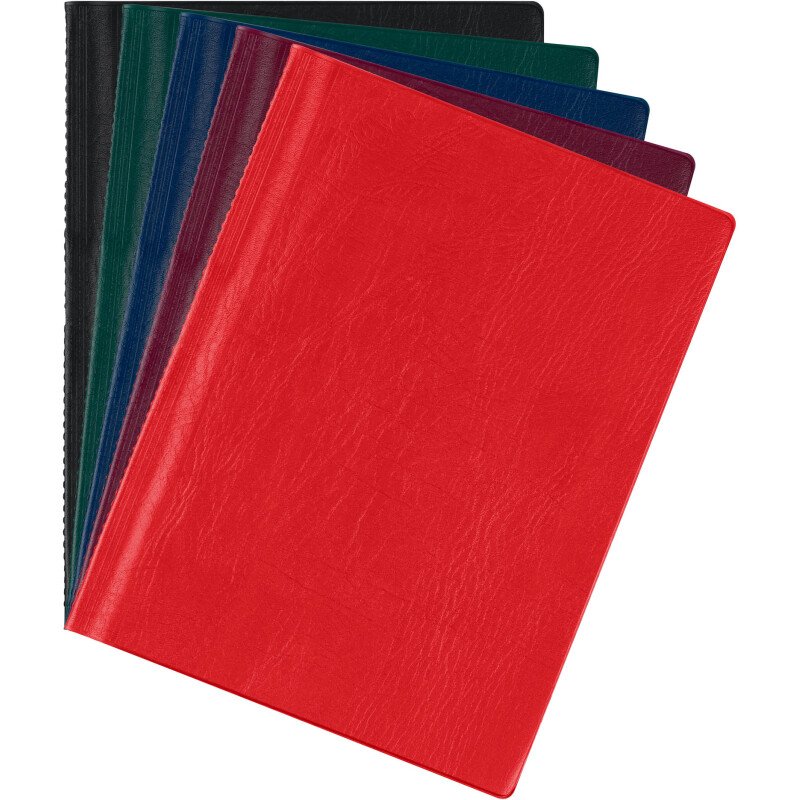 Protège-documents Bruneau PVC opaque A4 20 pochettes - 40 vues couleurs assorties
