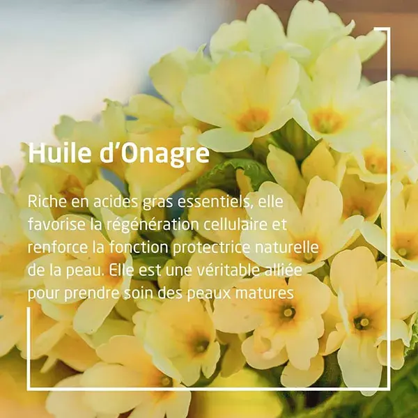 Weleda Onagre Huile Revitalisante Bio 100ml