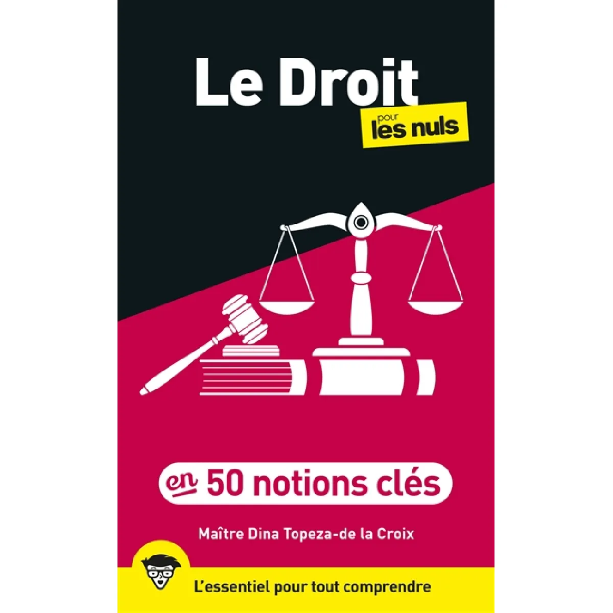 Le droit pour les nuls : en 50 notions clés : l'essentiel pour tout comprendre