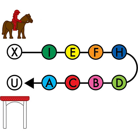 Smart Games Horse Academy