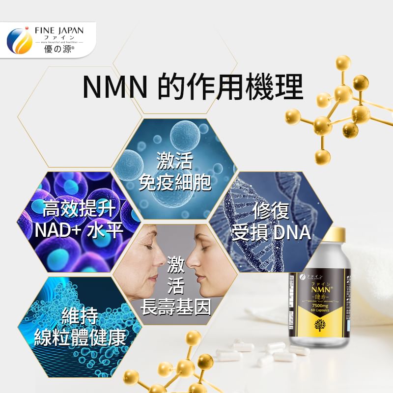 FINE JAPAN - NMN 15000mg Capsules