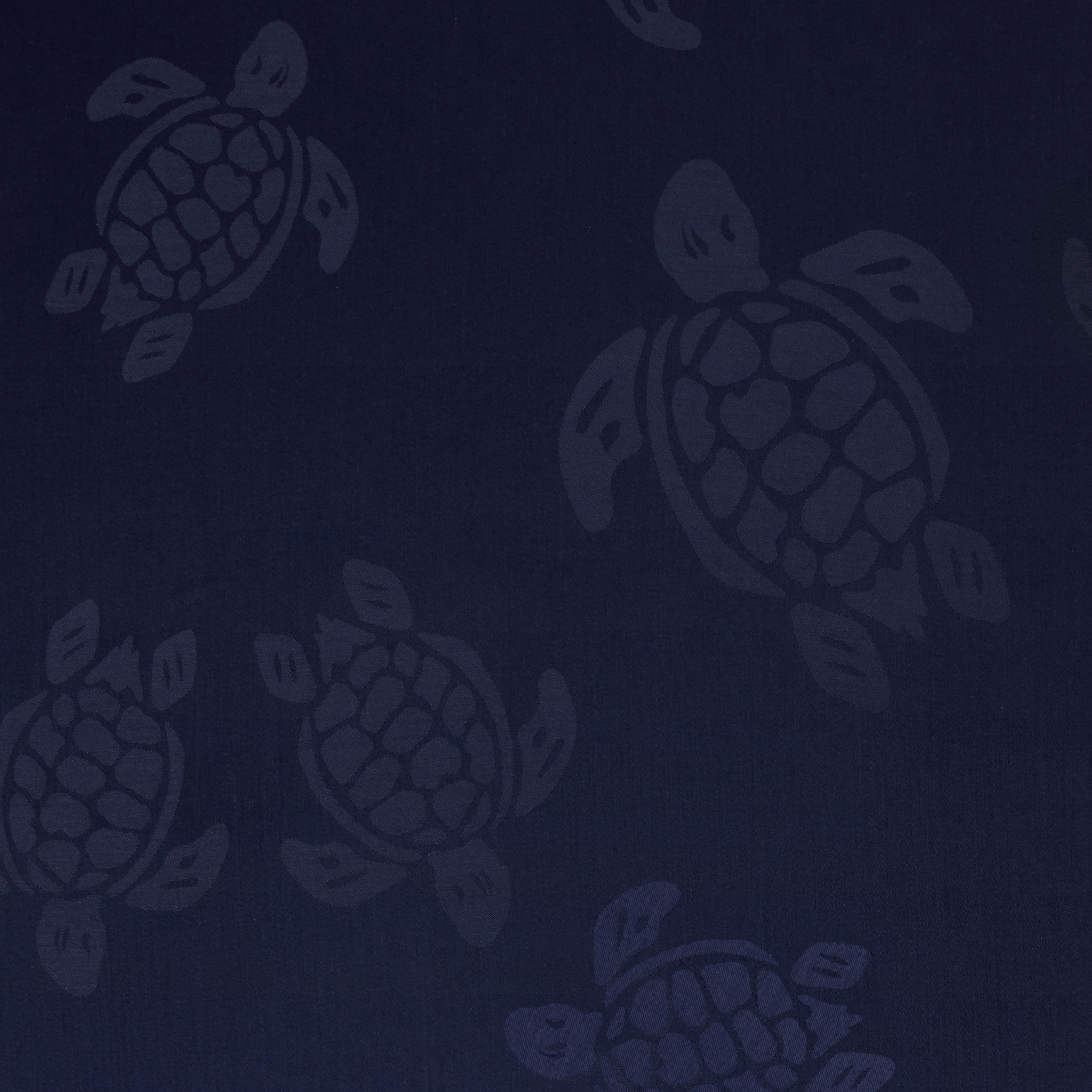 Etole Ronde des Tortues