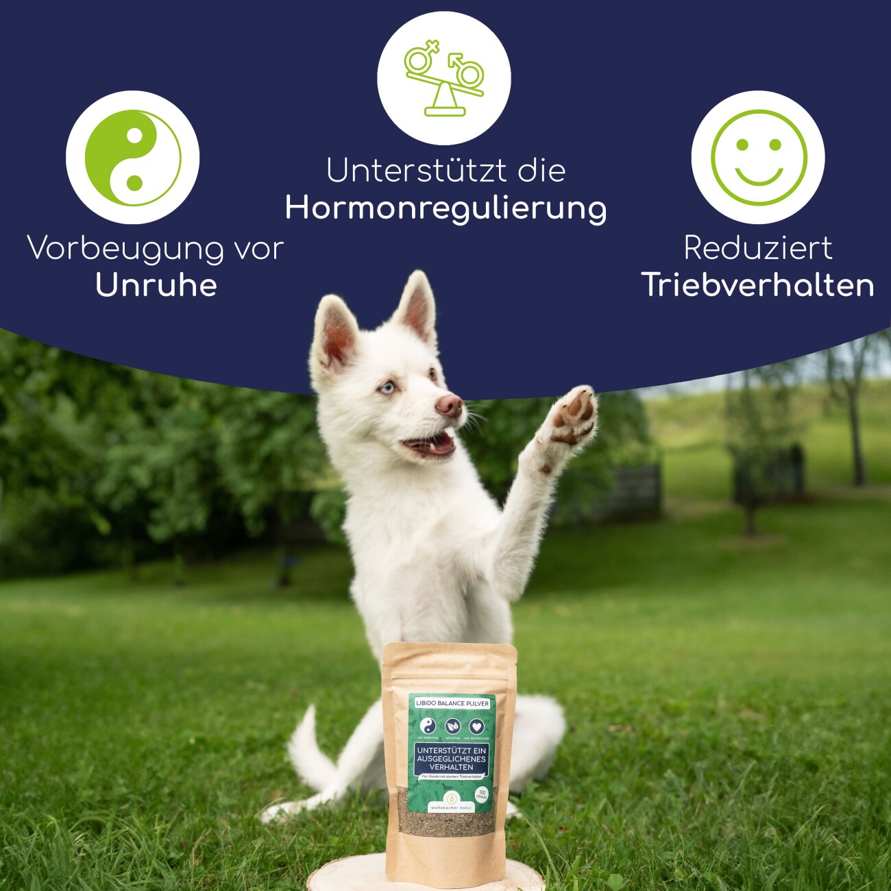Wolfsbacher Natur Triebregulat Pulver