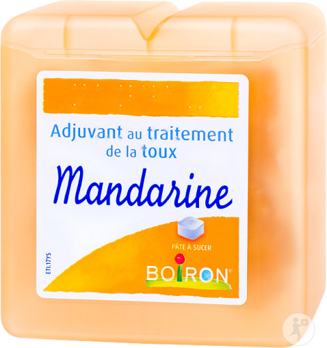 Boiron Mandarine Pâte Pectorale Adjuvant Au Traitement De La Toux Pâte À Sucer 60g