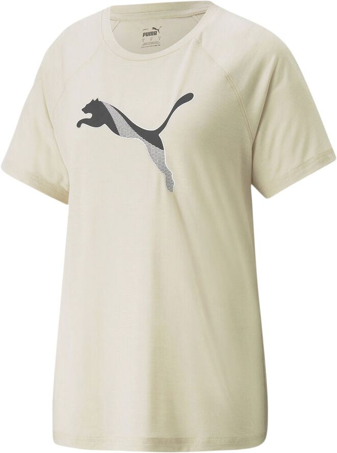Puma Evostripe T-shirt Brun