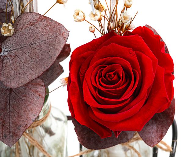 Dehner Glas-Arrangement mit Longlife-Rose Duo