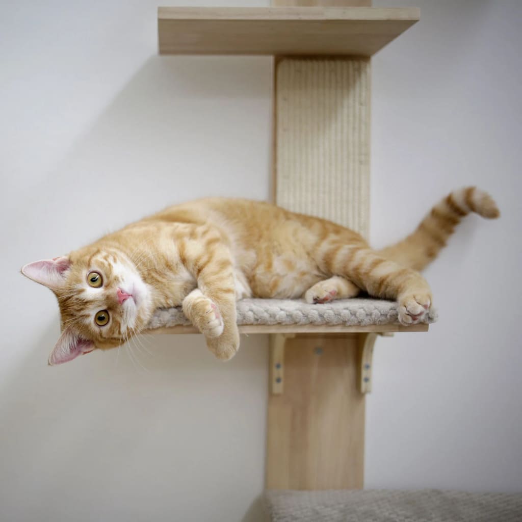 Poste arranhador para gatos