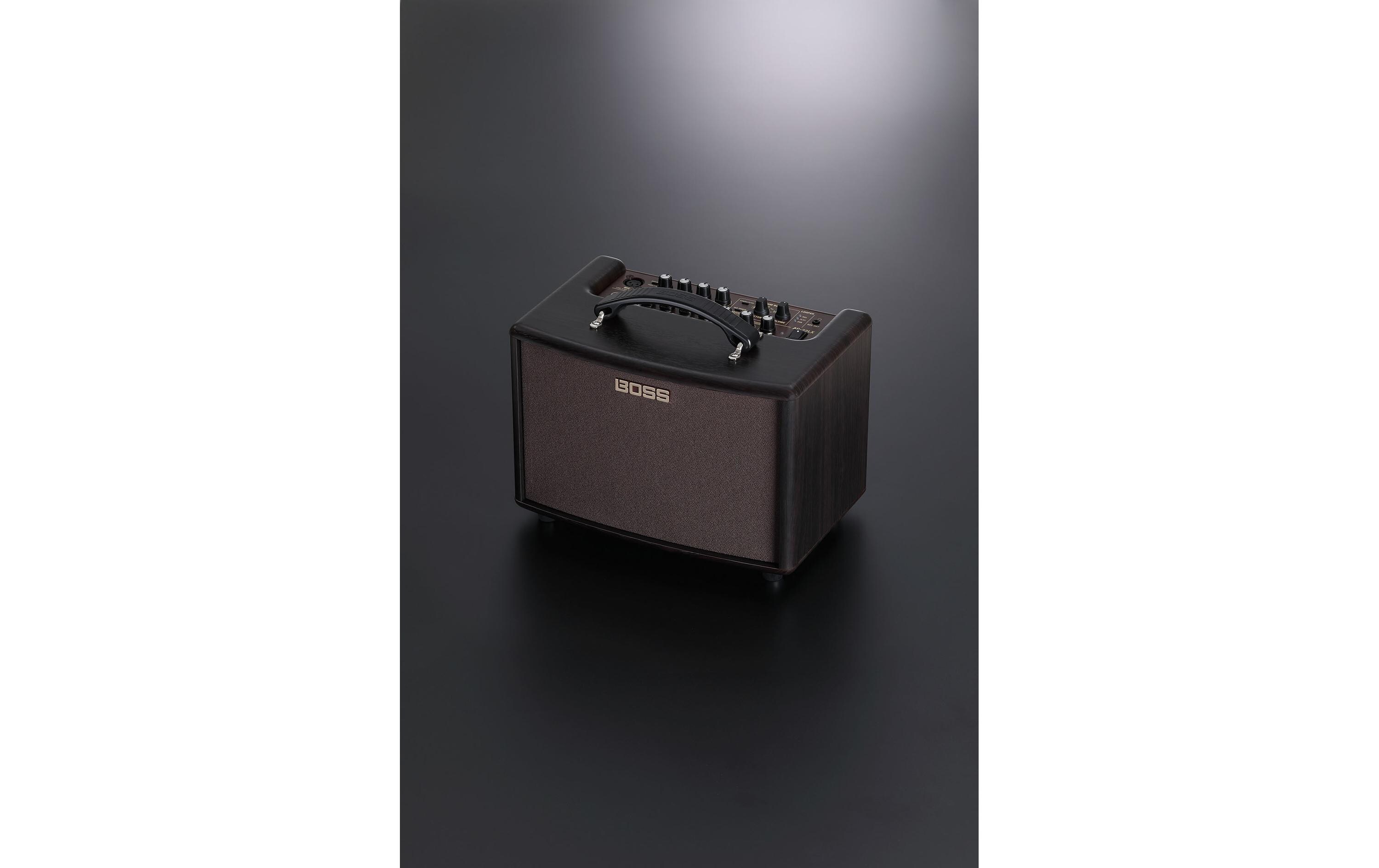 Combo AC-22LX<br>Immersives akustisches Erlebnis