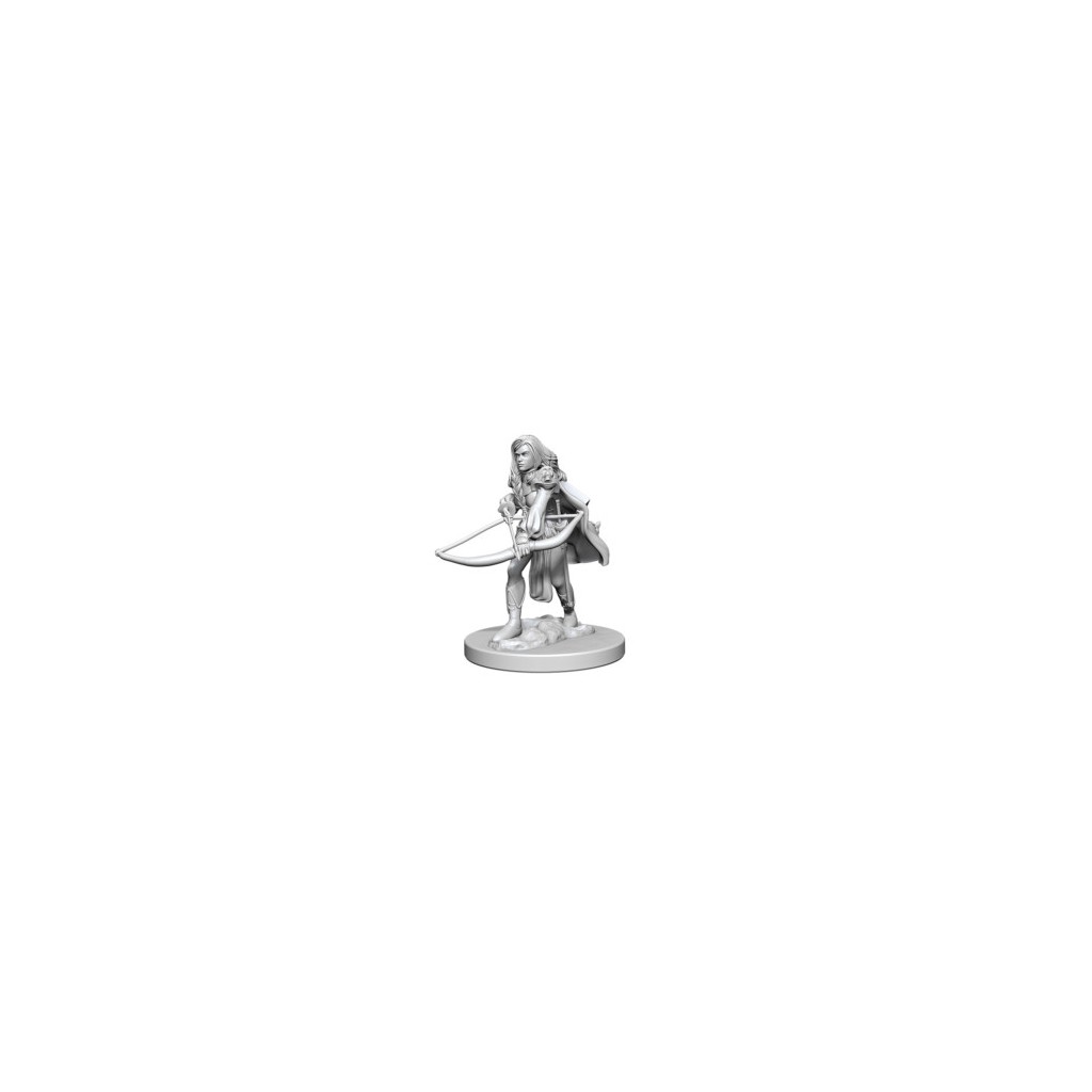 Pathfinder Deepcuts Unpainted Miniatures: Human Female Fighter