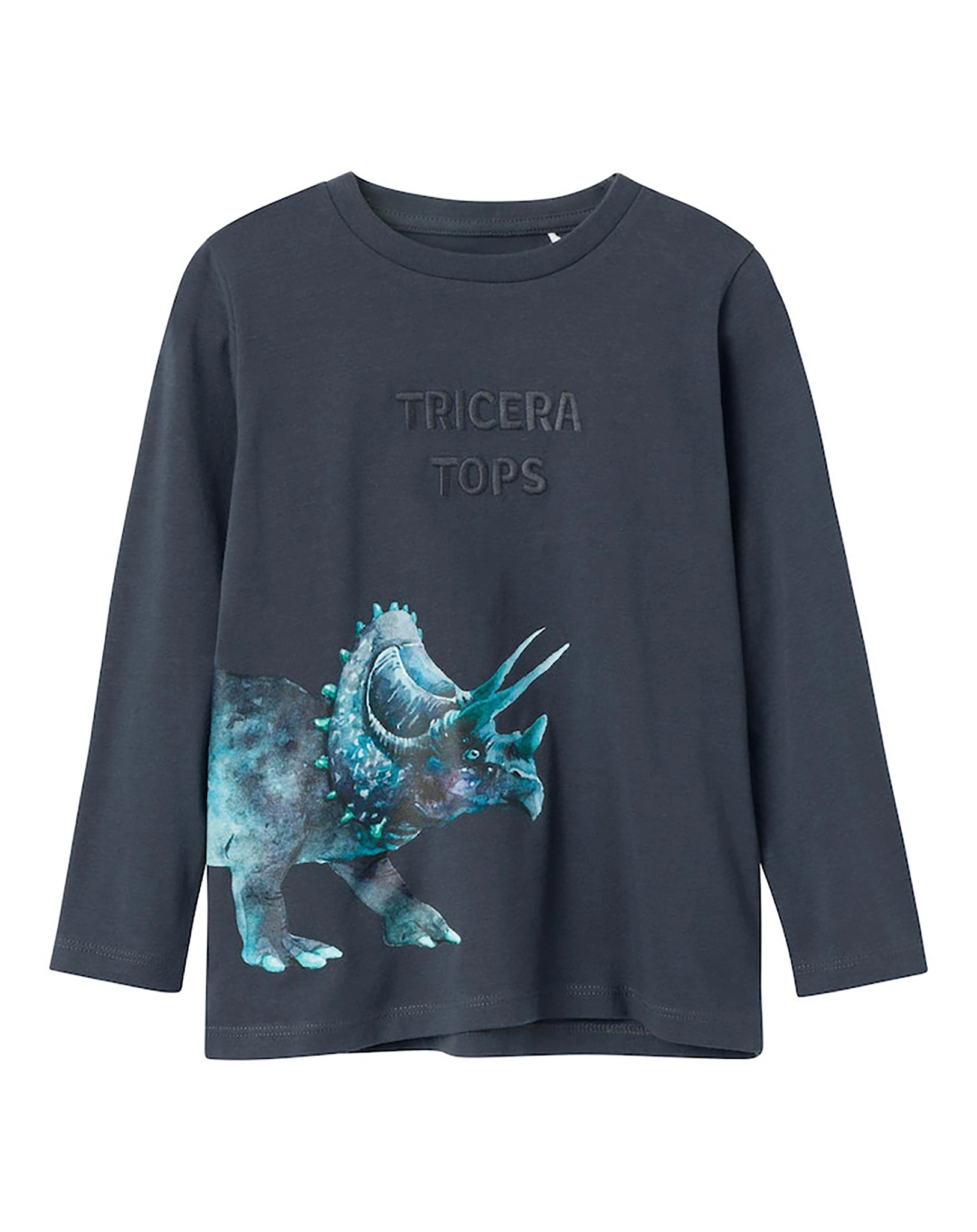 Langarmshirt NMMNULA TRICERA in india ink
