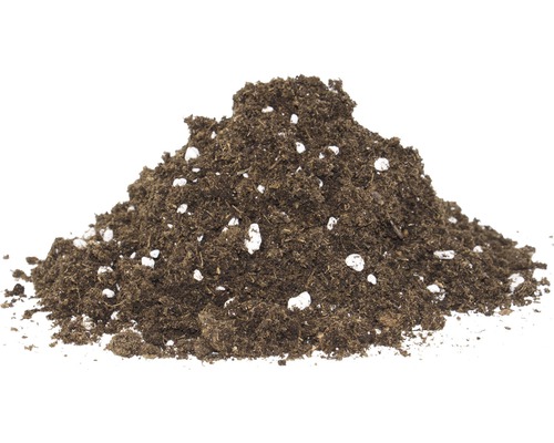 Vleesetende Plant Bodem Floragard 3 L
