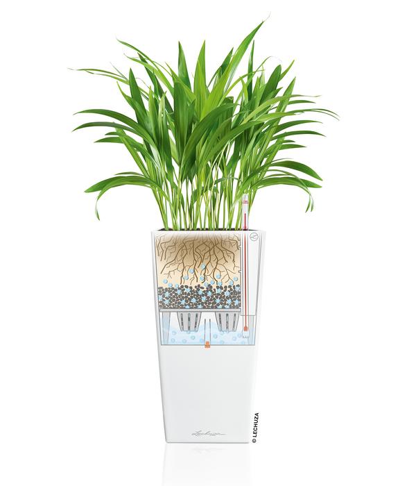 LECHUZA® CUBICO Premium, All-in-One-Set