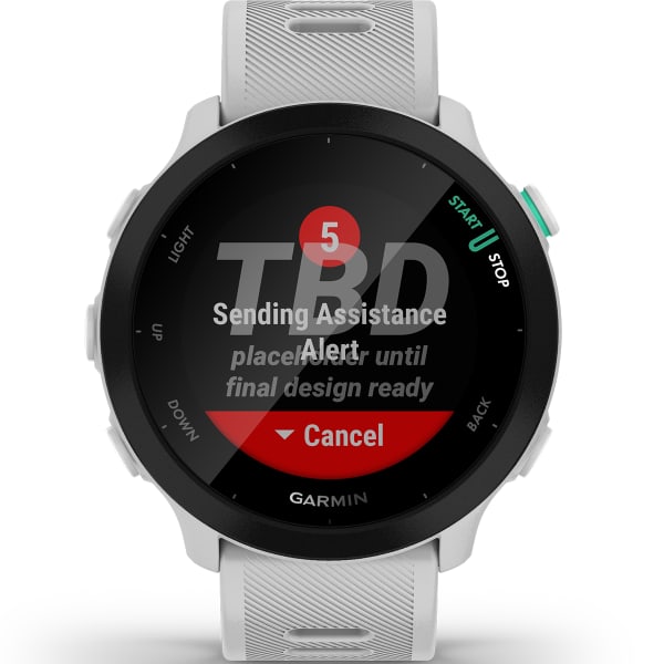 Montre cardio GPS GARMIN FORERUNNER 55 WHITESTONE