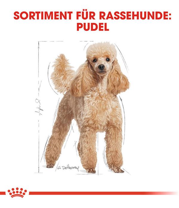 ROYAL CANIN® Trockenfutter für Hunde Poodle