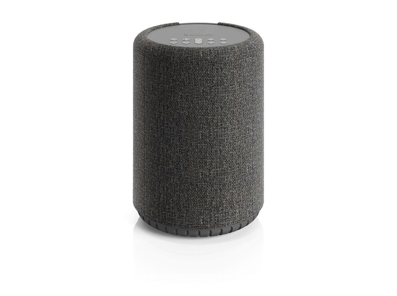 COLUNA A10 MKII AUDIO PRO AP15280 CINZA ESCURO