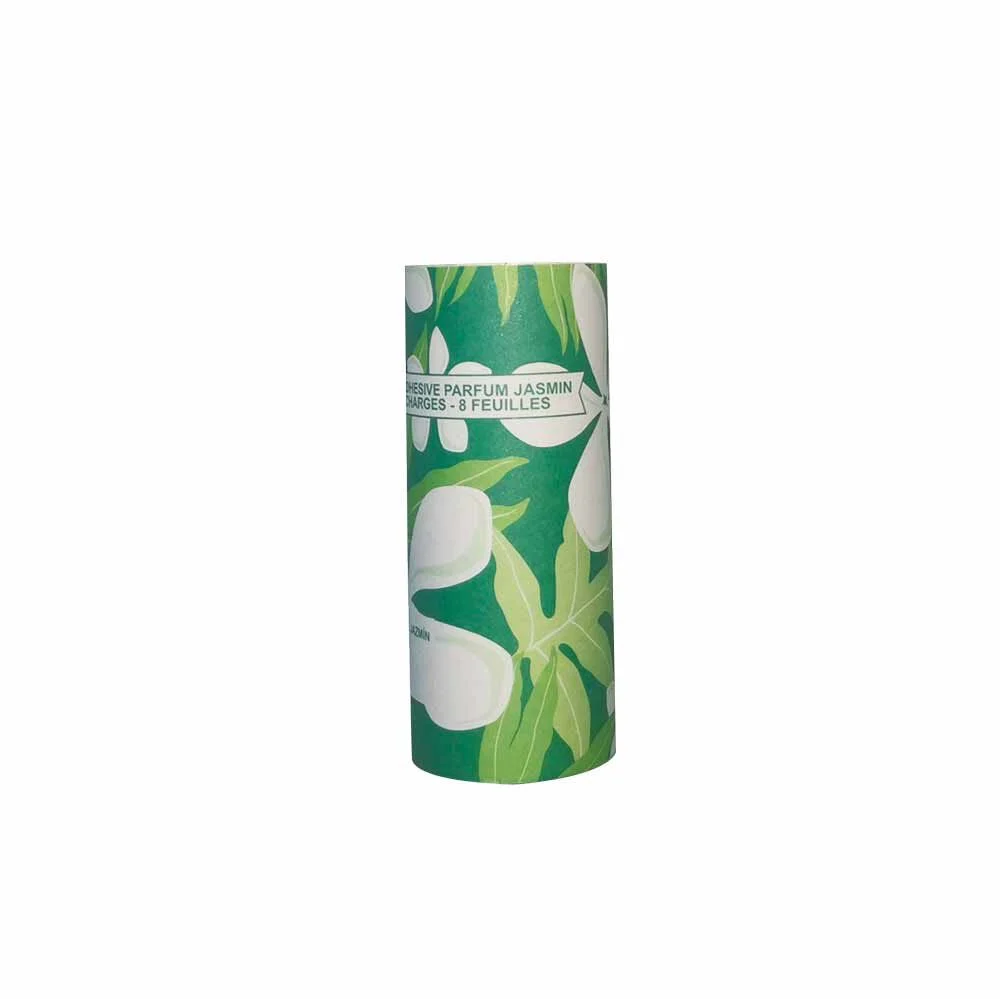 Rouleau adhésif brosse attrape poils
