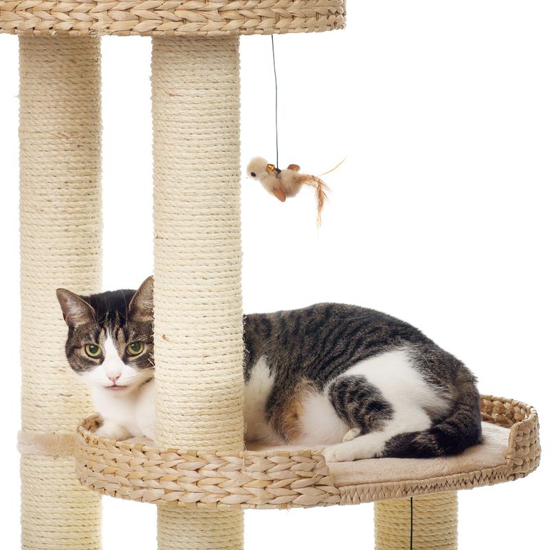 Arbre à chat Natural Home III à Prix Discount | bitiba.fr