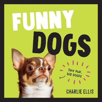 Funny Dogs: A Hilarious Collection of the World's Silliest Dogs and Most Relatable Memes (Hardback)