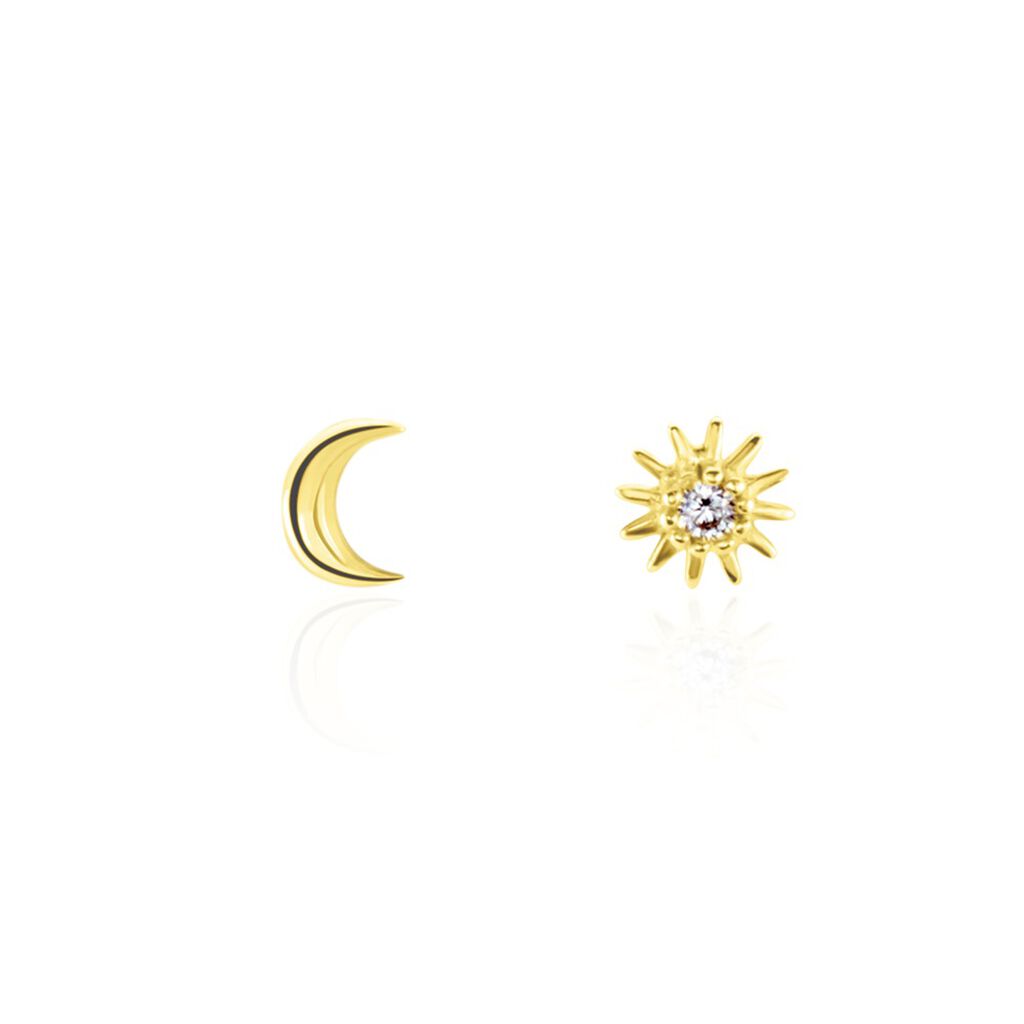 Boucles D'oreilles Puces Berberis Or Jaune Oxyde