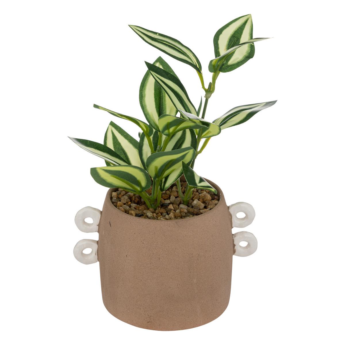 PLANTE POT CERAMIQUE OLME CANNELLE H.21CM
