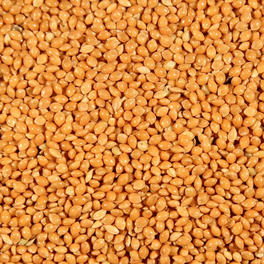 Deli Nature Millet Geel20 kg