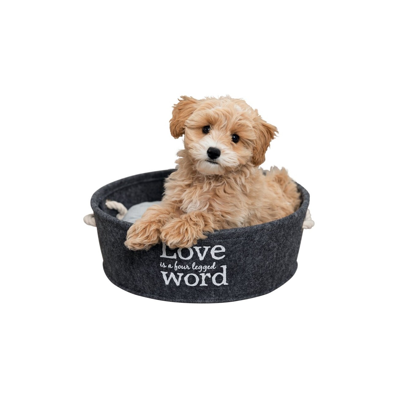 Trixie Liegeplatz Lian S