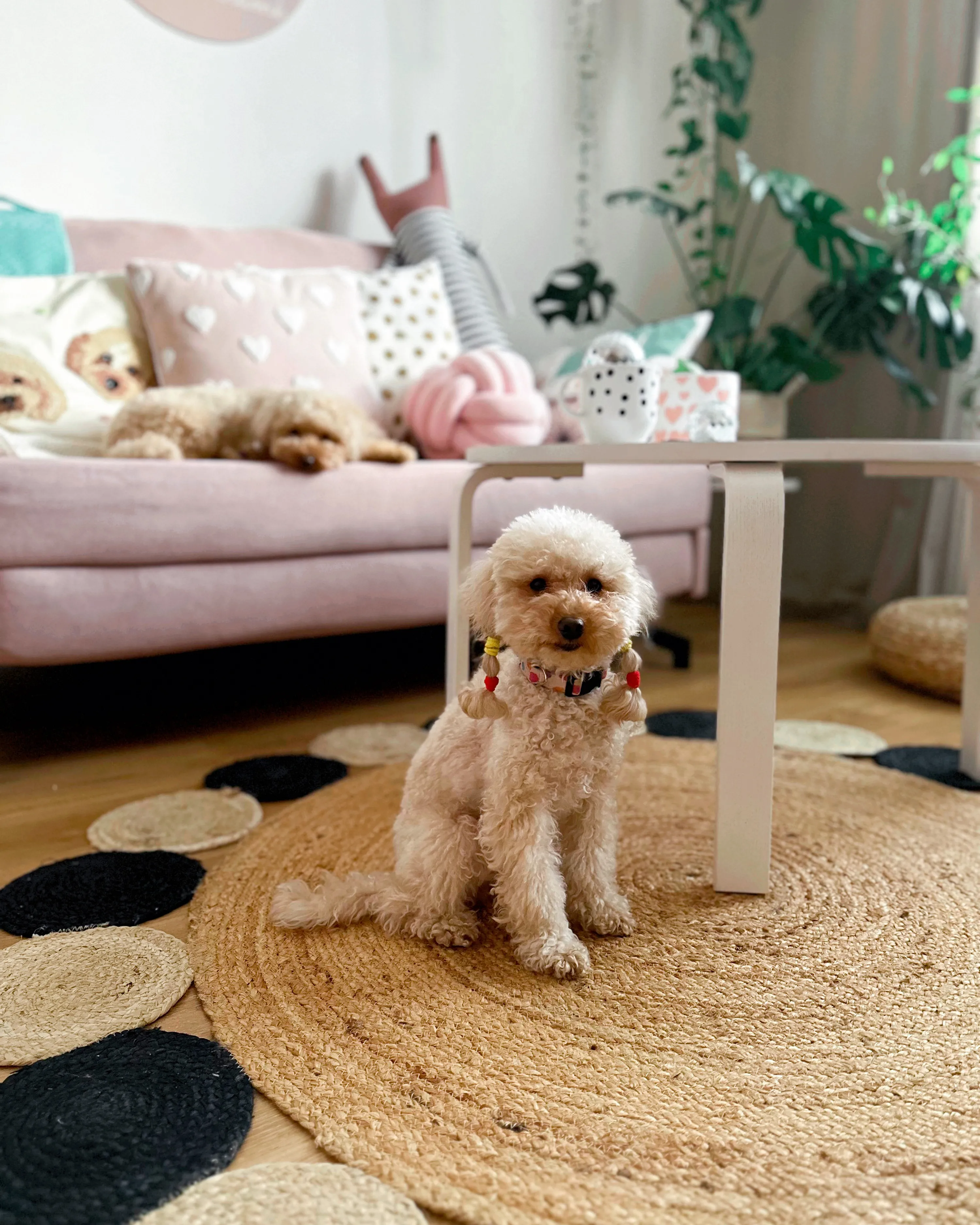 Vloerkleed VOSTAN Zwart ø 140 cm Jute