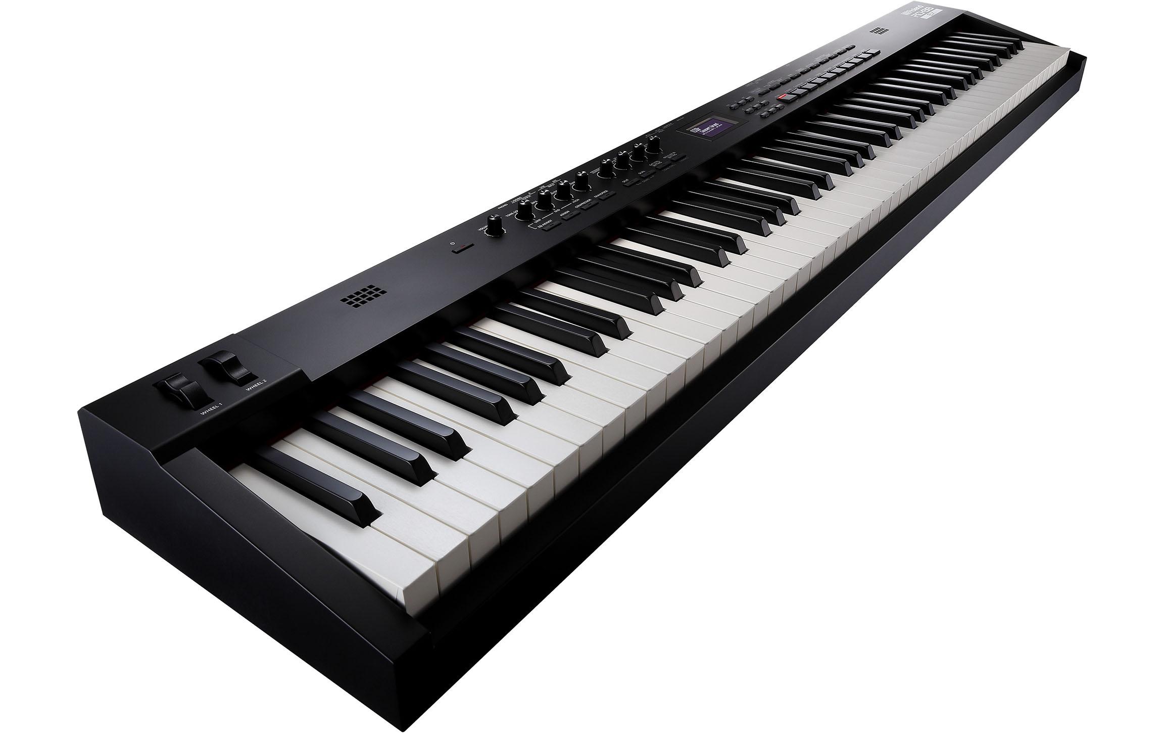 Stage Piano RD-88 EX<br>Stage Piano mit 88 gewichteten Tasten