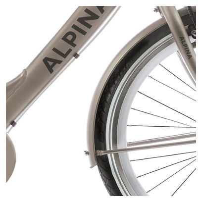 Alpina Garde-boue set 26 Clubb or avec mat