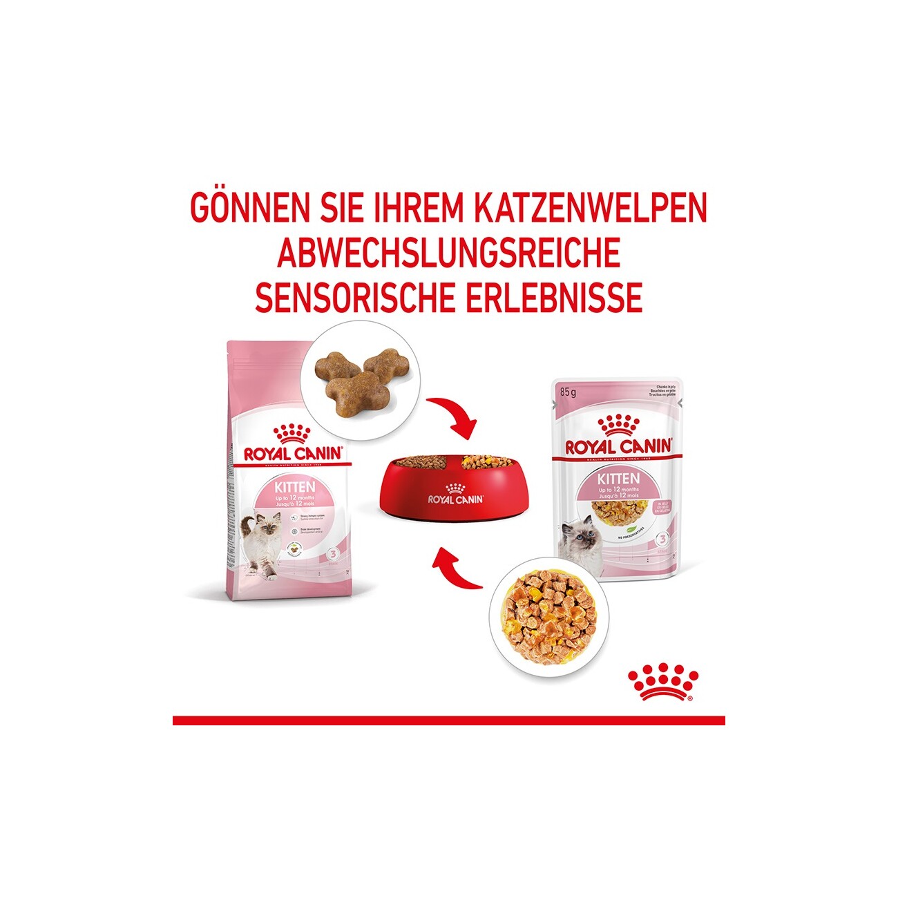 ROYAL CANIN Kitten in Gelee 12x85 g