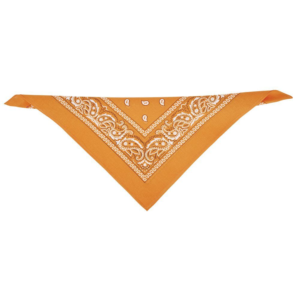Bandana motif paisley coloré 100% coton 53x53cm