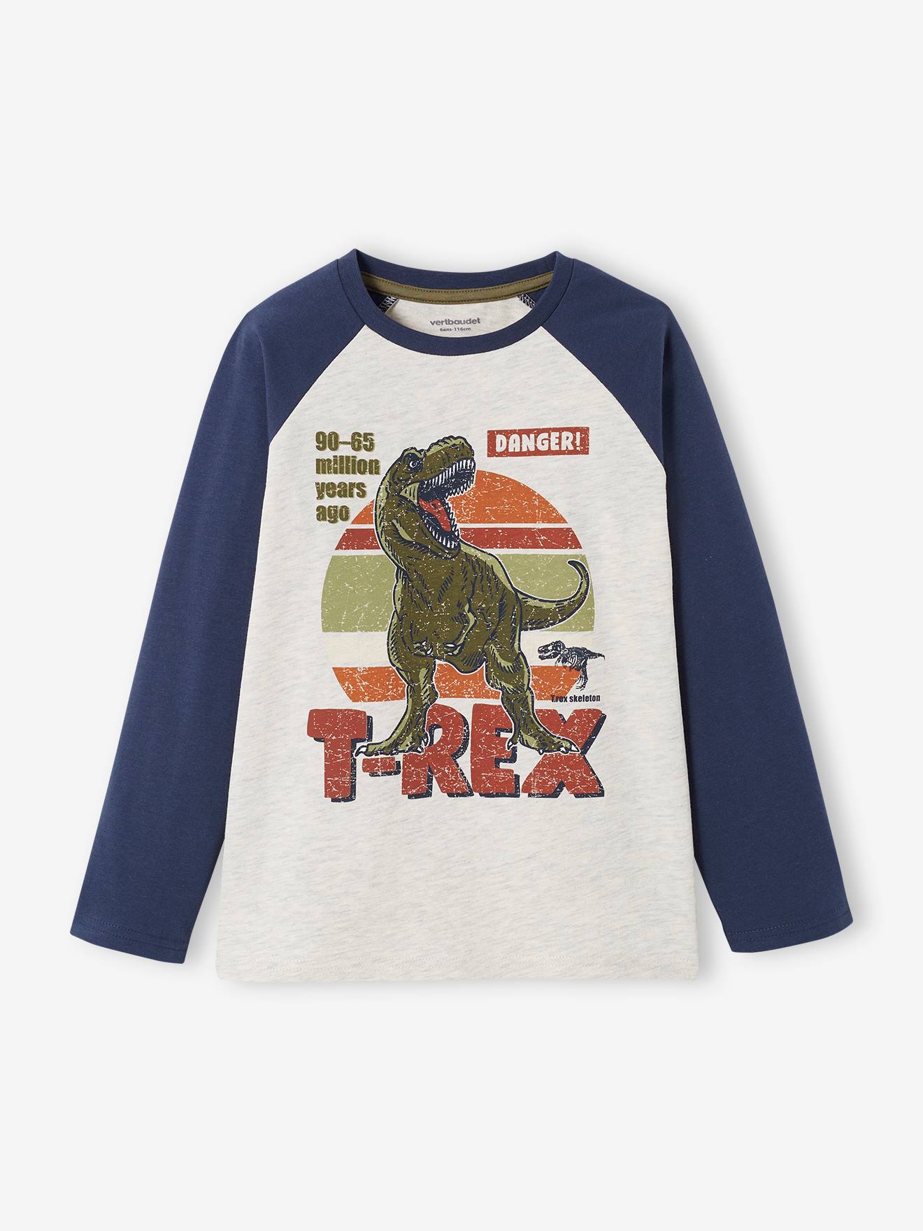 Camiseta infantil masculina, azul médio liso com estampas e mangas raglan coloridas.