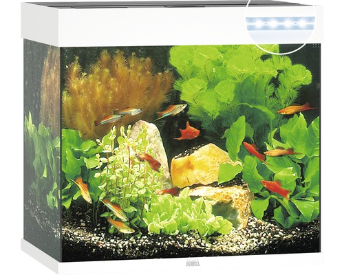 JUWEL Lido 120 aquarium met LED-verlichting, pomp, filter, verwarming (zonder kast), wit