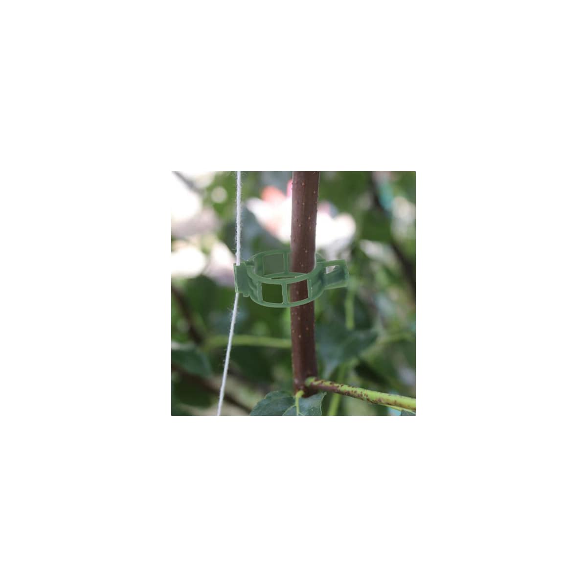 Klips for å støtte planter / espalier 100-pakning Grønn