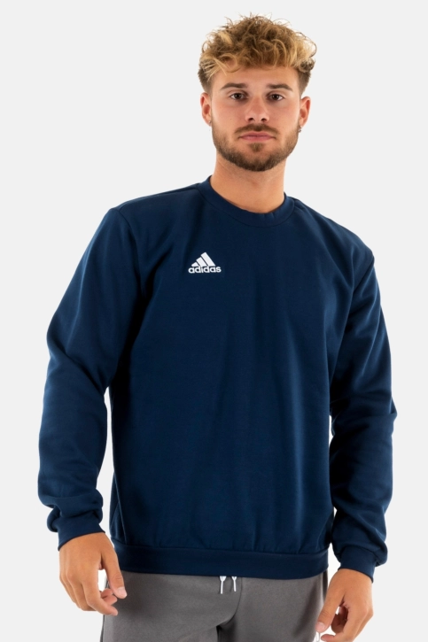 sweat adidas originals ent22 tenabl
