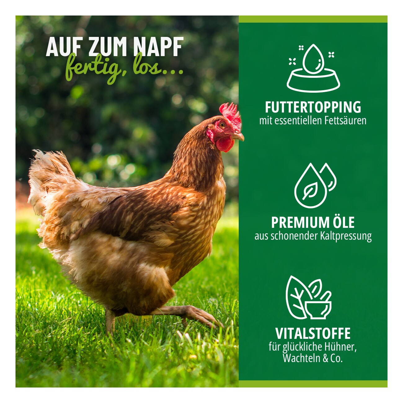 HÜHNER Land Geflügel Futteröl 500ml