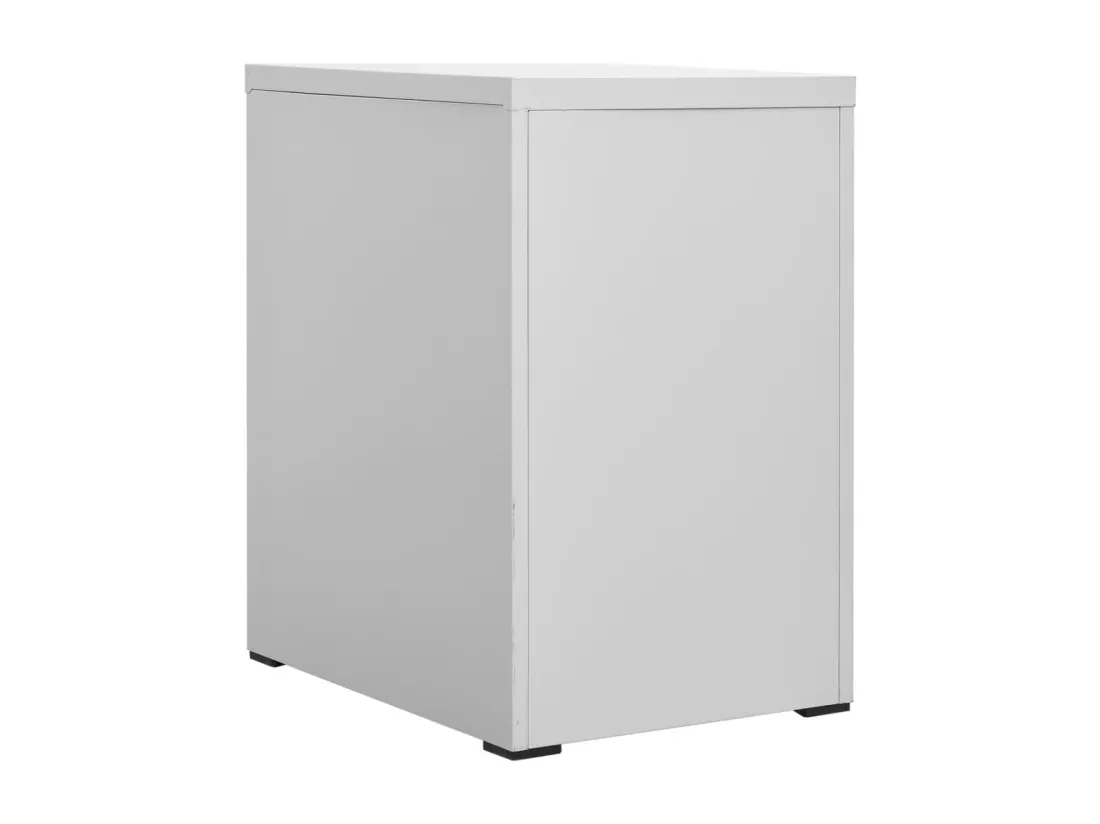 Classeur Gris clair 46x62x72,5 Acier