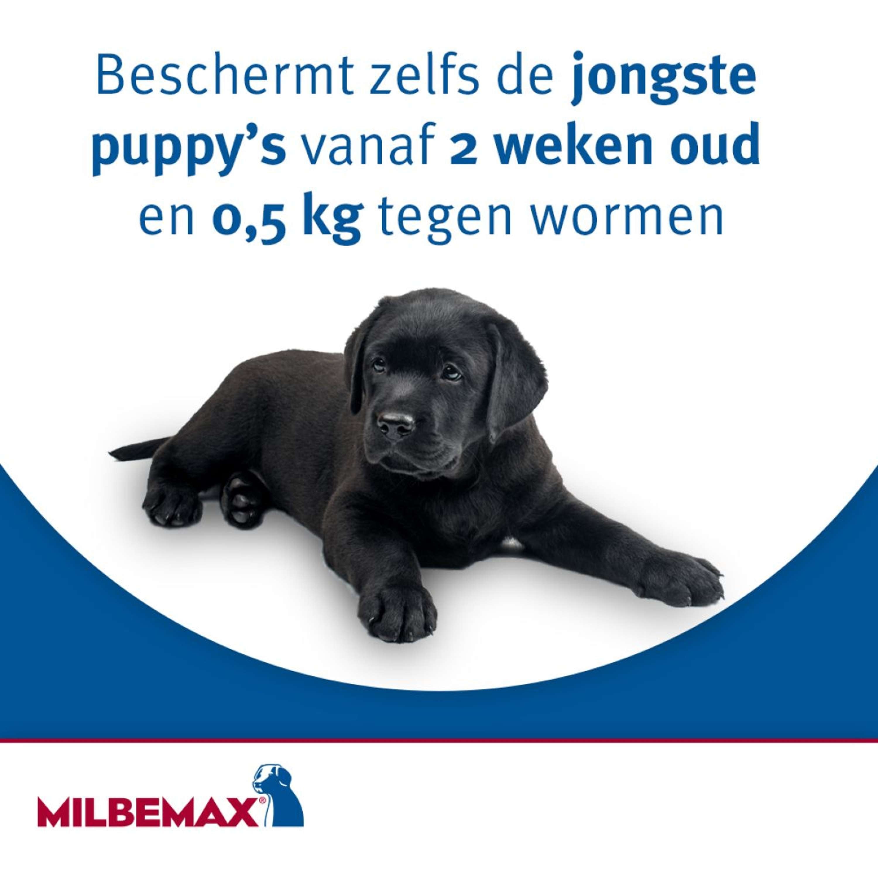 Milbemax Ontwormingstablet Hond Groot