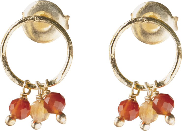 A Beautiful Story Genuine Carnelian Citrine Earrings GP Gold