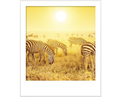 Premium muurverf Stijl Kleur SELECTIE 20 conserveermiddelvrij Savannah Light 2,5 L