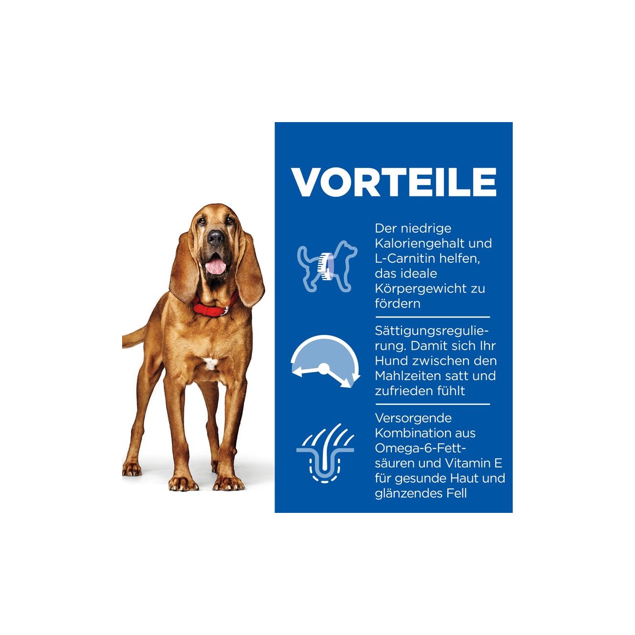 Hill's Science Plan Mature Adult 7+ Senior Light mit Huhn 14 kg