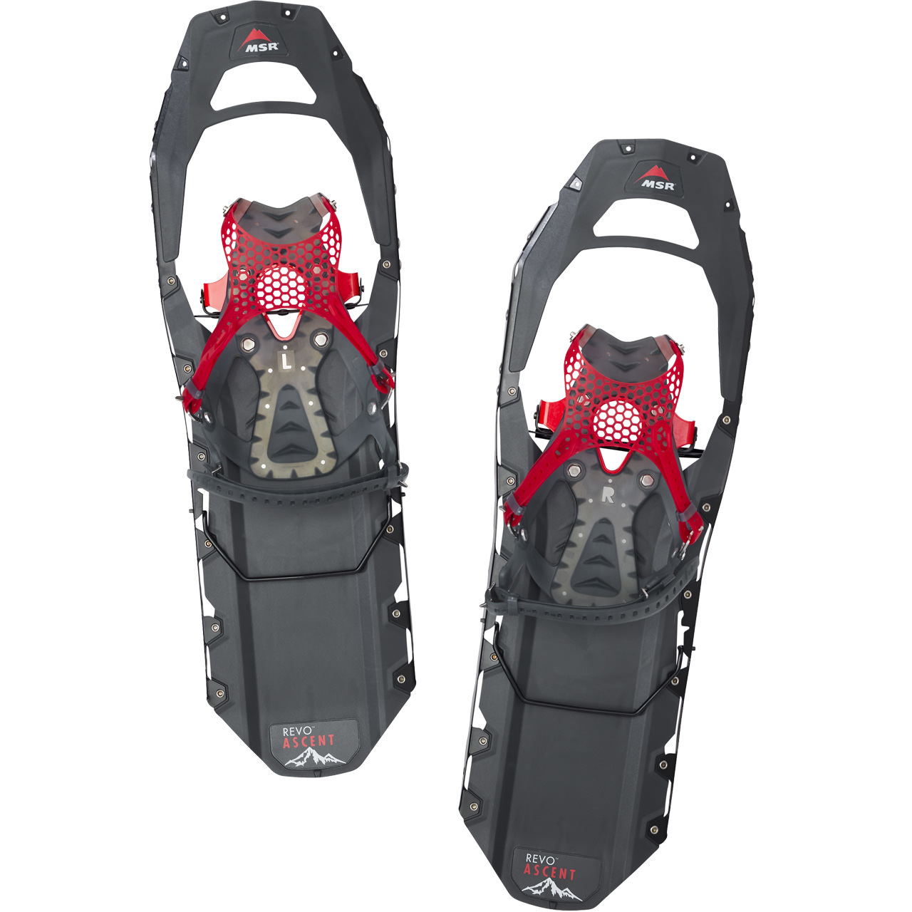 MSR Revo Ascent M22 gray | MSR | M | MARKEN | XSPO