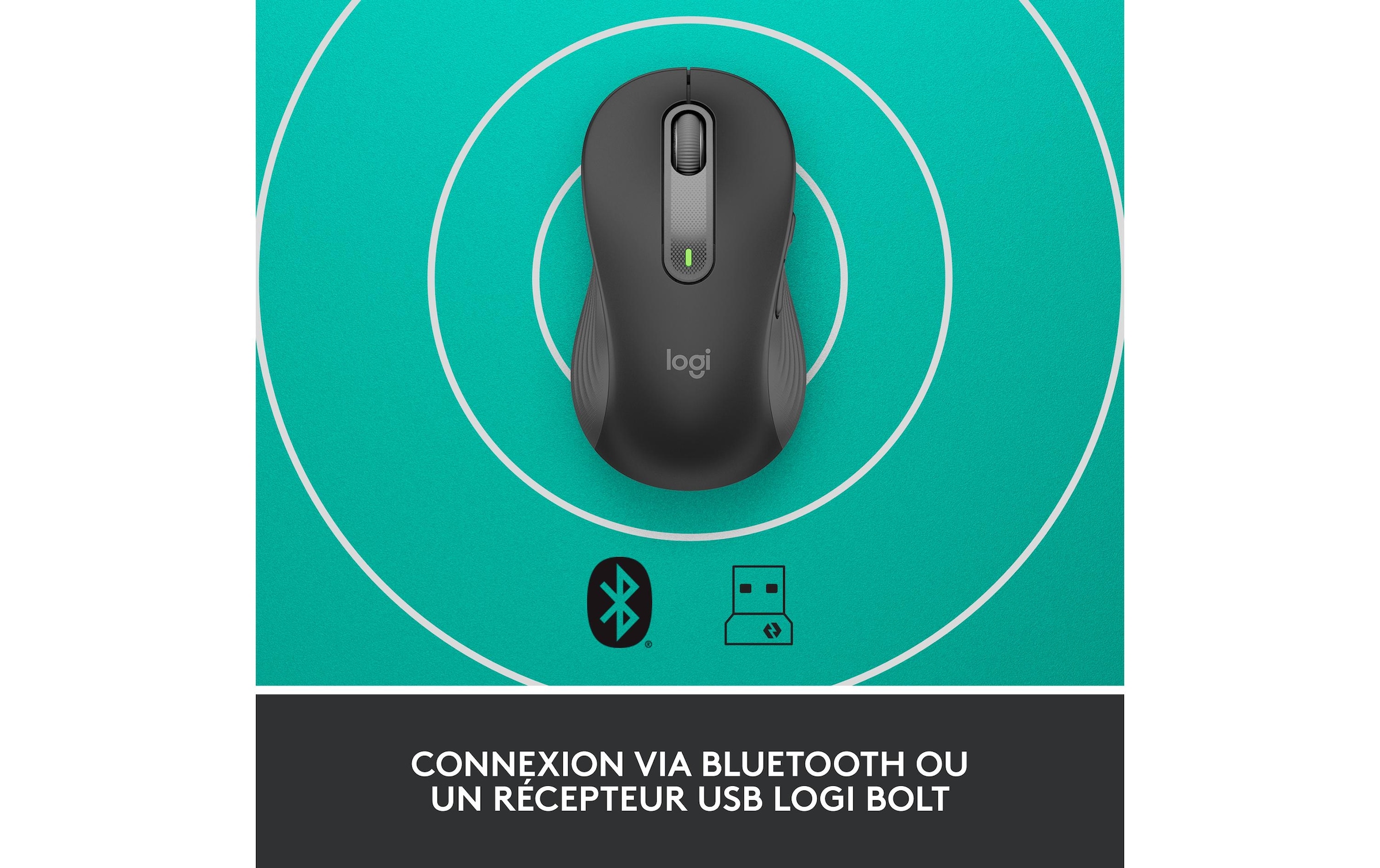 Logitech Maus »Signature M650 L left Graphite« kabellos