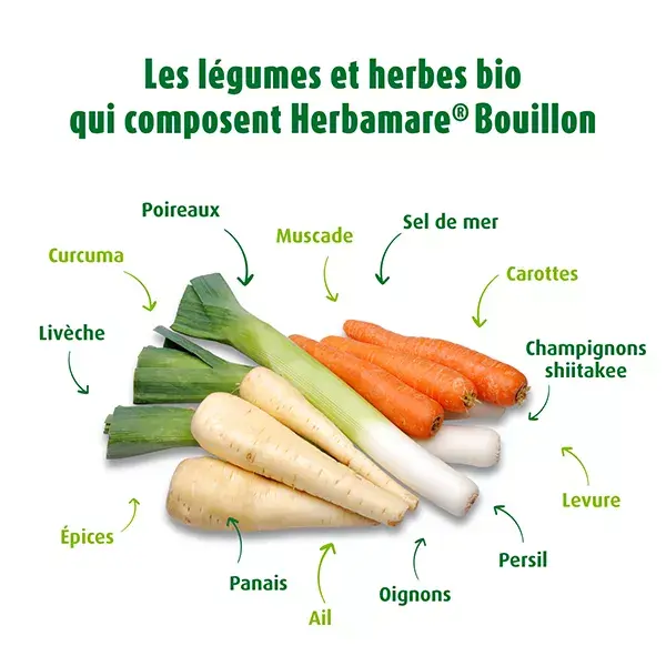 A.Vogel Herbamare Concentrée Bio 250g