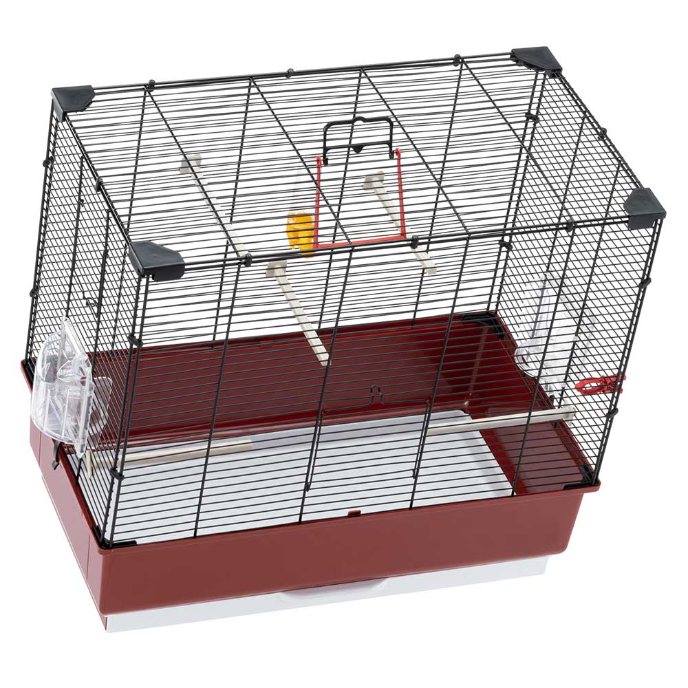 Ferplast cage oiseau piano 4, cage canari oiseaux, avec mangeoires, abreuvoir pour oiseaux, 59 x 33 x h 55 cm, avec accessoires,