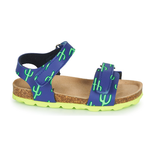 Mod'8 - KOURTIS - Bleu / Vert