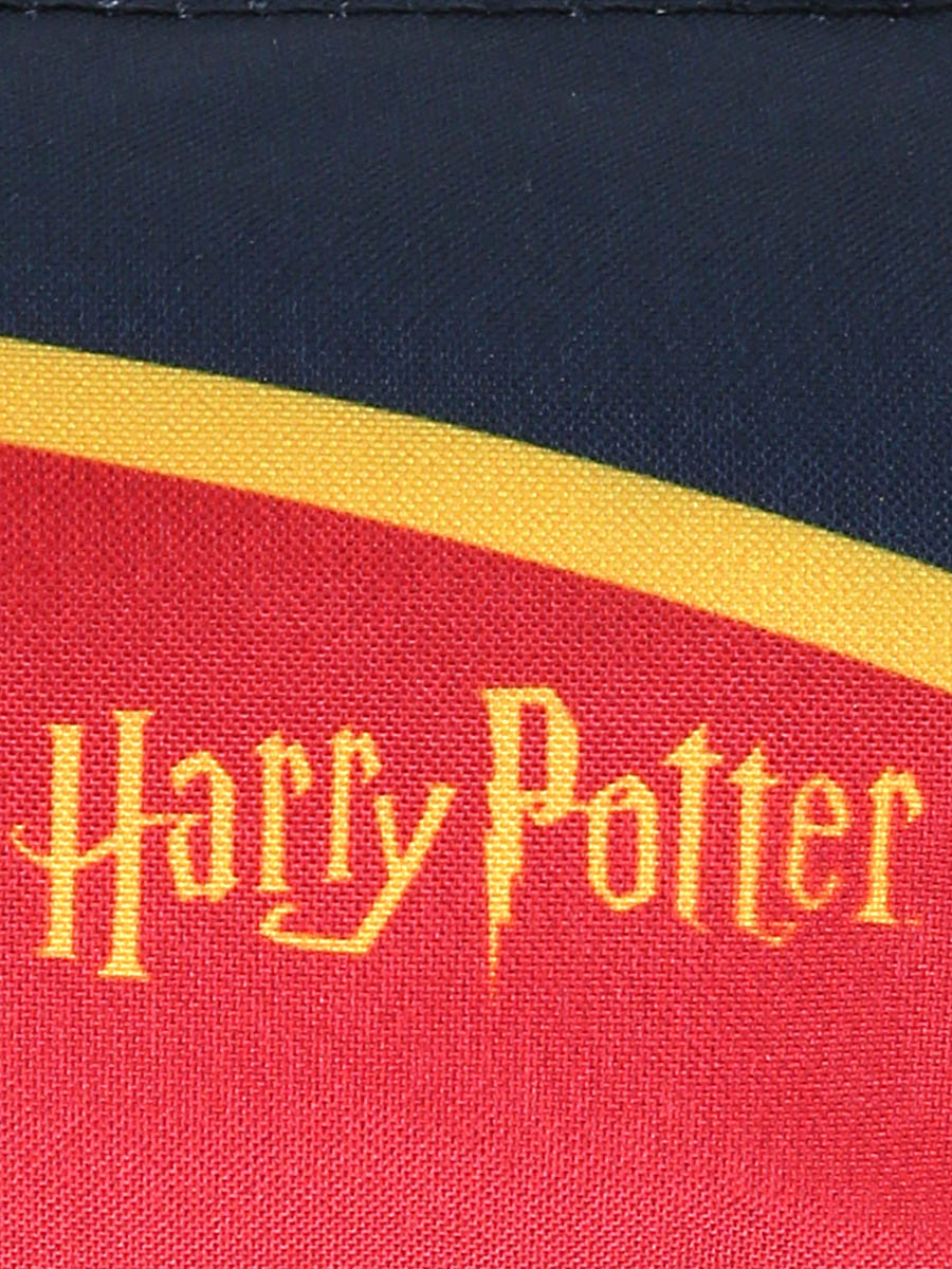 Trousse Harry Potter Maison Gryffondor