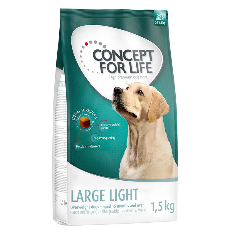 Concept for Life Large Light