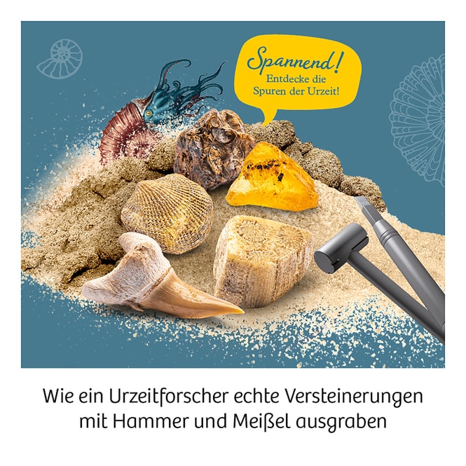 Fossilien - Ausgrabungs-Set - Mitbring-Experimente